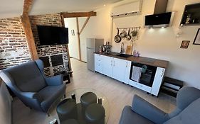 BELLEVUE Appartement sous les toits hypercentre climatisé