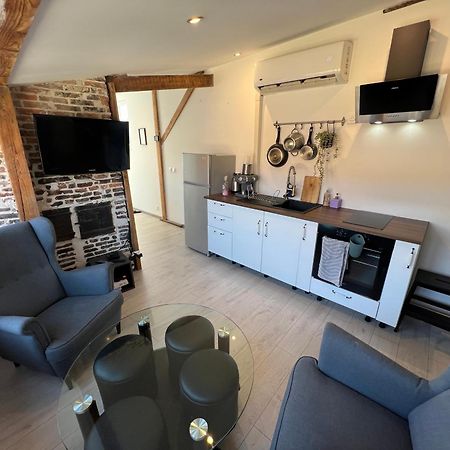 BELLEVUE Appartement sous les toits hypercentre climatisé Dole Extérieur photo