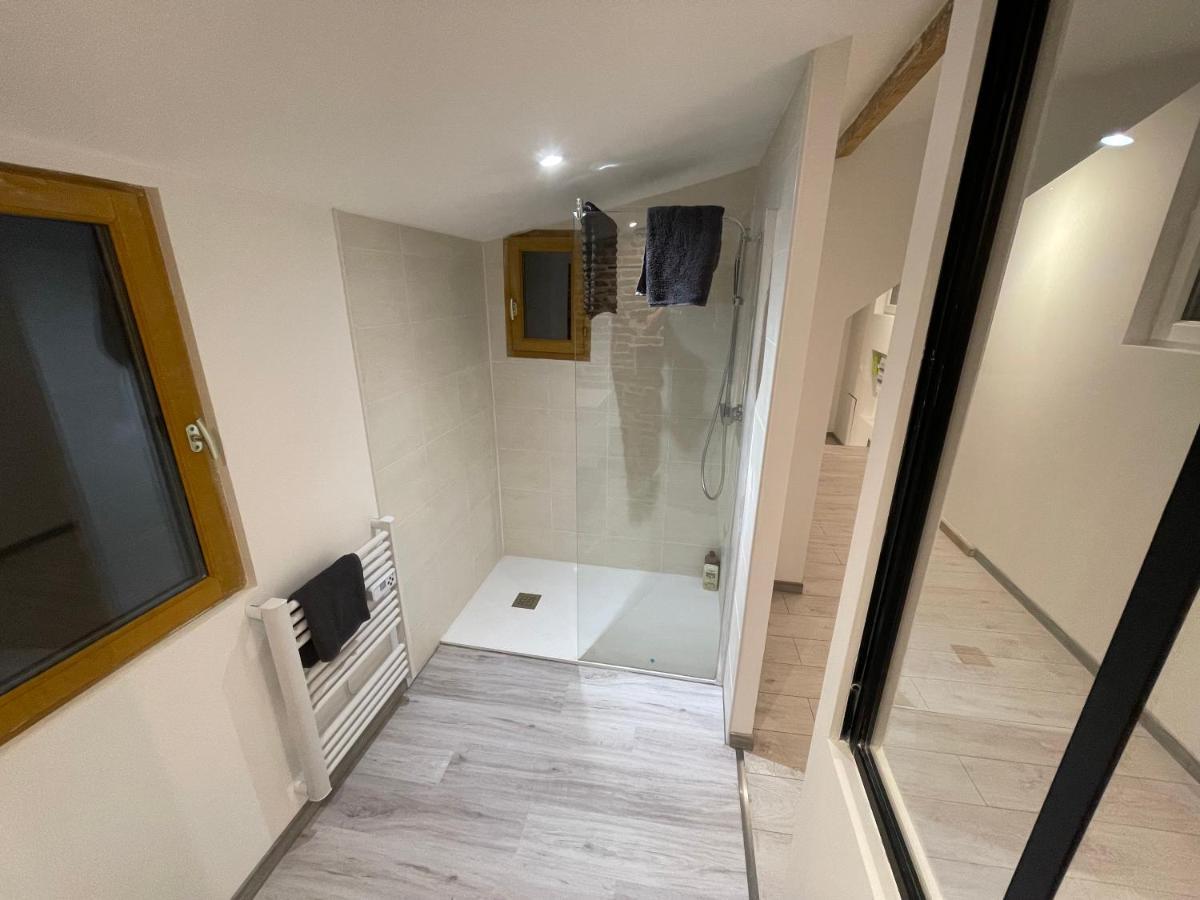 BELLEVUE Appartement sous les toits hypercentre climatisé Dole Extérieur photo