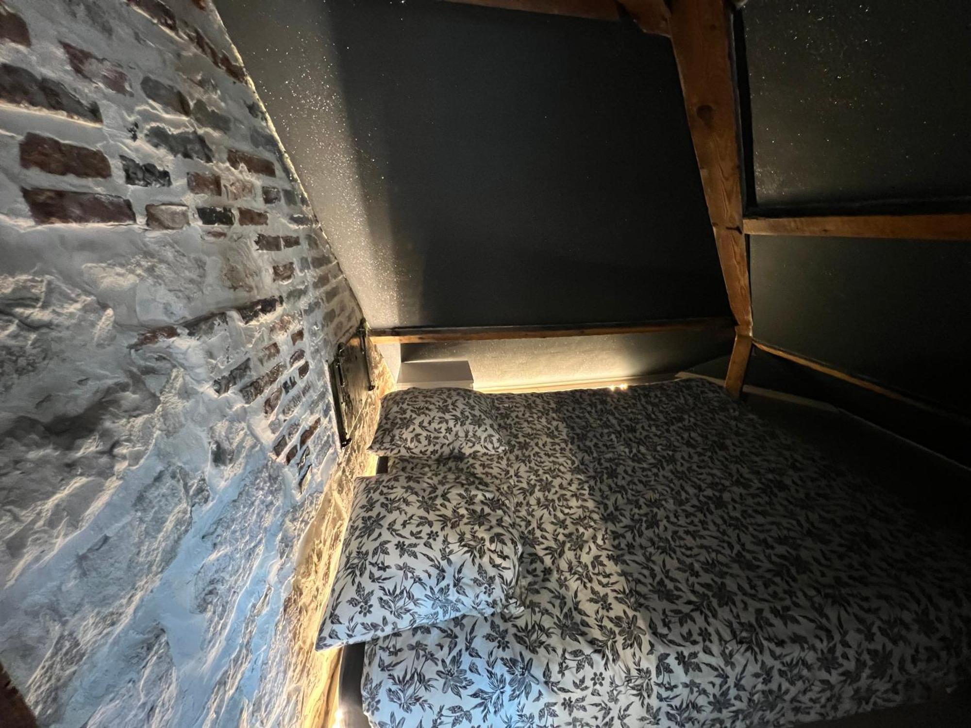 BELLEVUE Appartement sous les toits hypercentre climatisé Dole Extérieur photo
