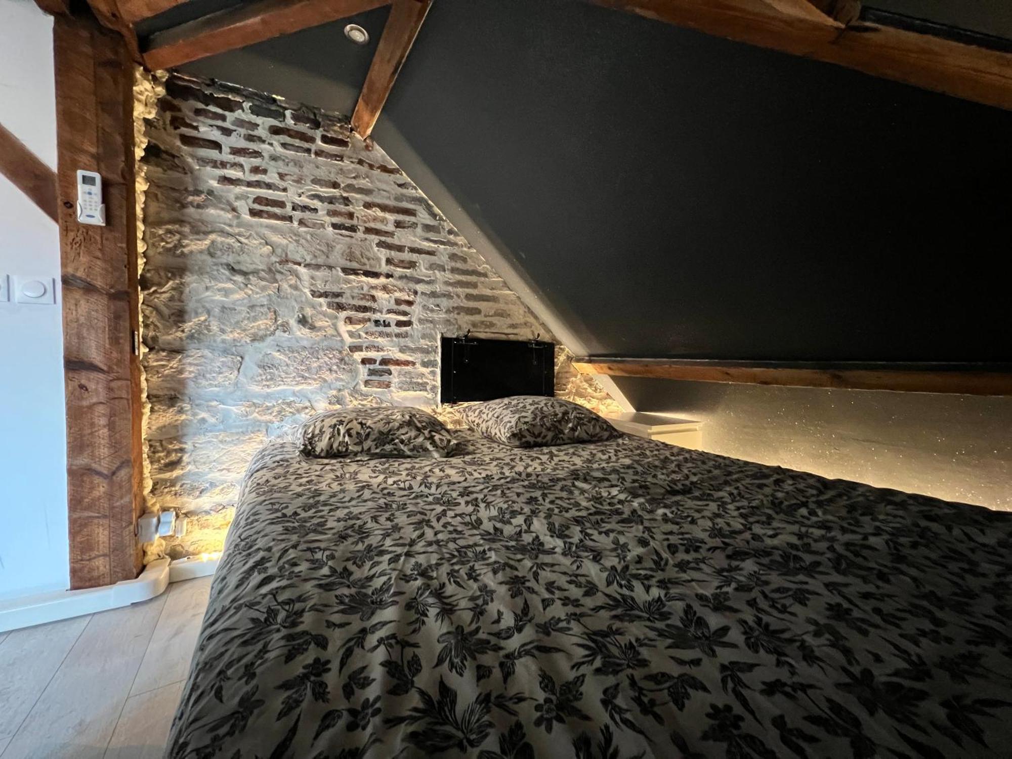 BELLEVUE Appartement sous les toits hypercentre climatisé Dole Extérieur photo